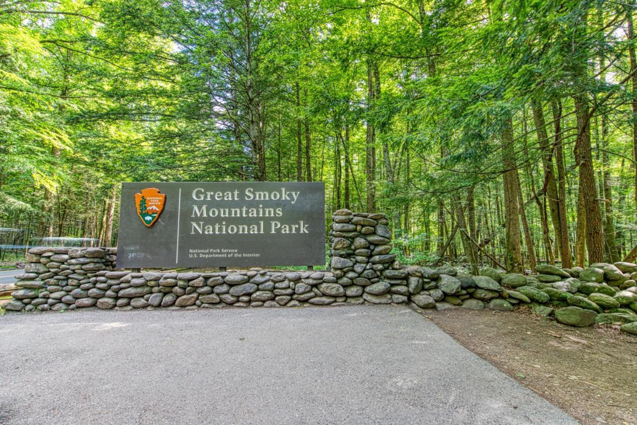 Black Bear'S Bluff Sevierville Esterno foto